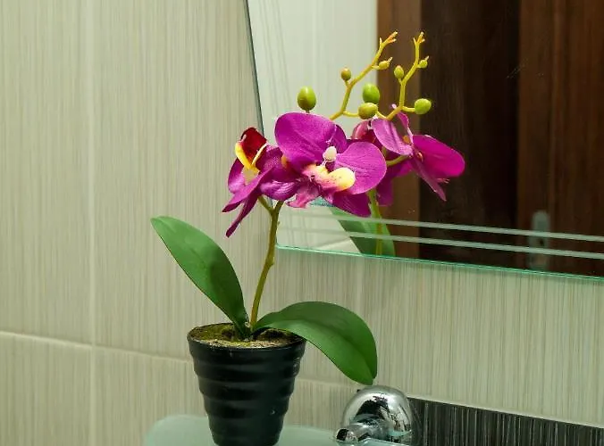 Sea View * Приморско