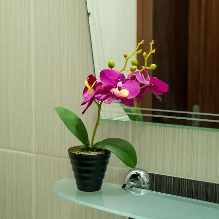 Sea View * Primorsko